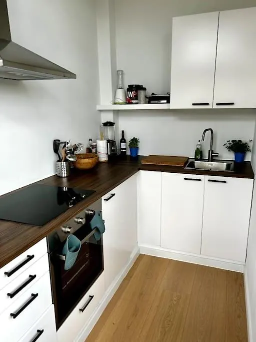 Apartment Near Central Station Antwerpen